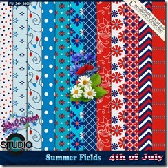 4th of July Coordinating Product