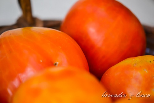 [Heirloom-Tomatoes-0313.jpg]