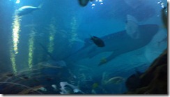 2012-07-16_12-59-07_389 2012-07-16_12-59-07_389