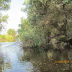 IMG_7646.JPG