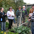 Glasshouse_blitz_3_020.jpg