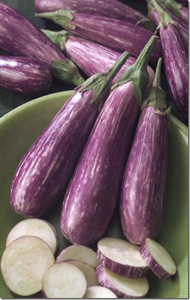 Eggplant Fairy Tale Eggplant Fairy Tale