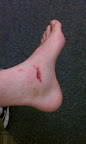 longboard