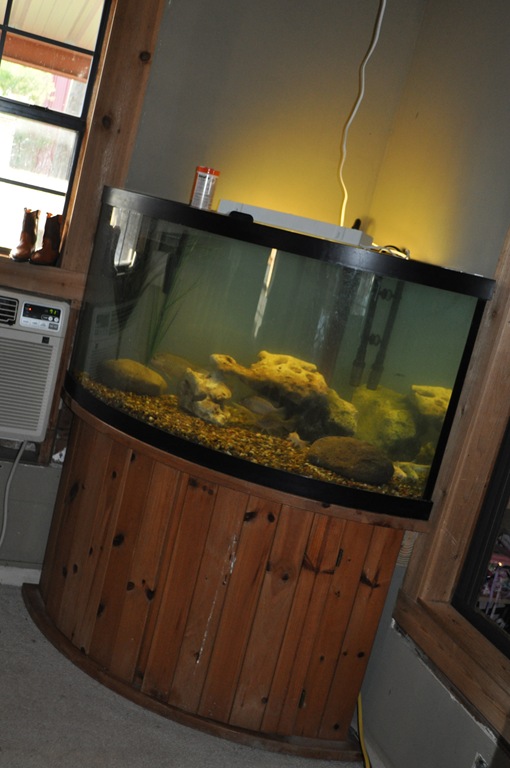 [july-2011-4375.jpg]