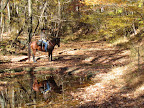 stream crossing on trail 472