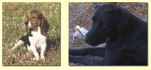 [image%255B5%255D.png]