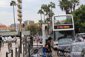 IMG_1036 IMG_1036