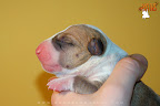 Boy 2 - day 1