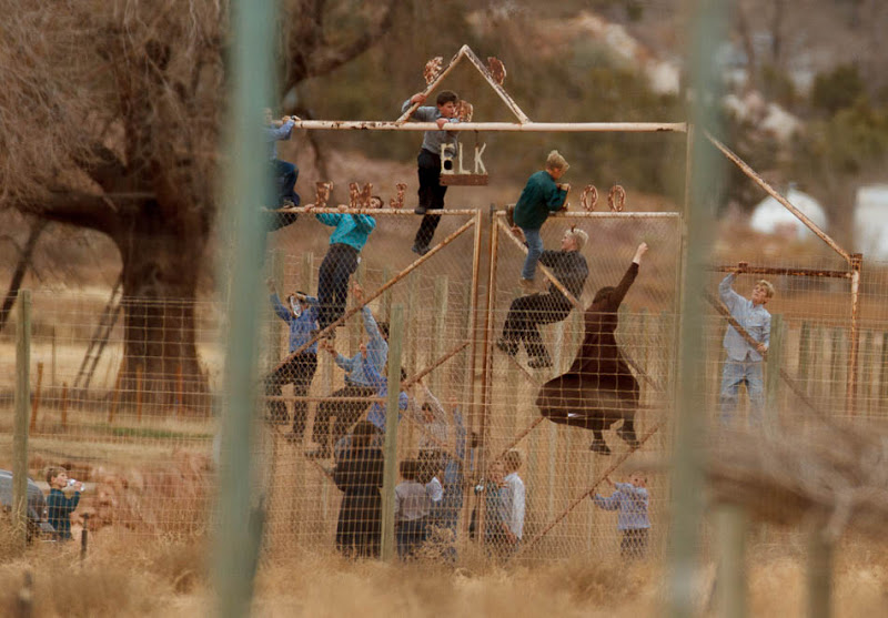 Children climbing a fence at what was once a thriving community zoo in Hildale, a town where many residents are members of Warren Jeffs' FLDS church