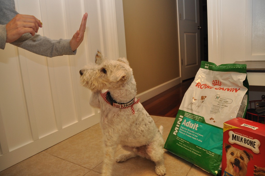 [530%255B4%255D.jpg]