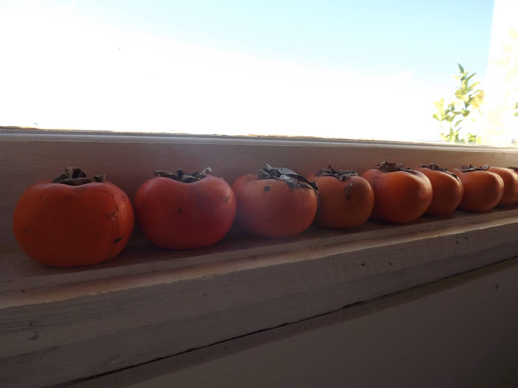 [DSCF20144.jpg]