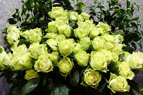 qWasvWTOt82BIUfPTUXZLQ qWasvWTOt82BIUfPTUXZLQ