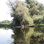 DSCN4489.JPG