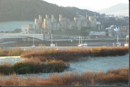 Estuary 002