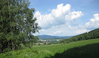 CZR1-11_LH_3300.JPG