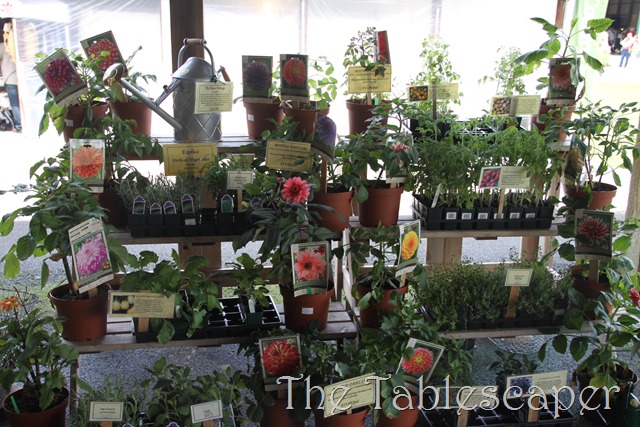[Country-Living-0633.jpg]