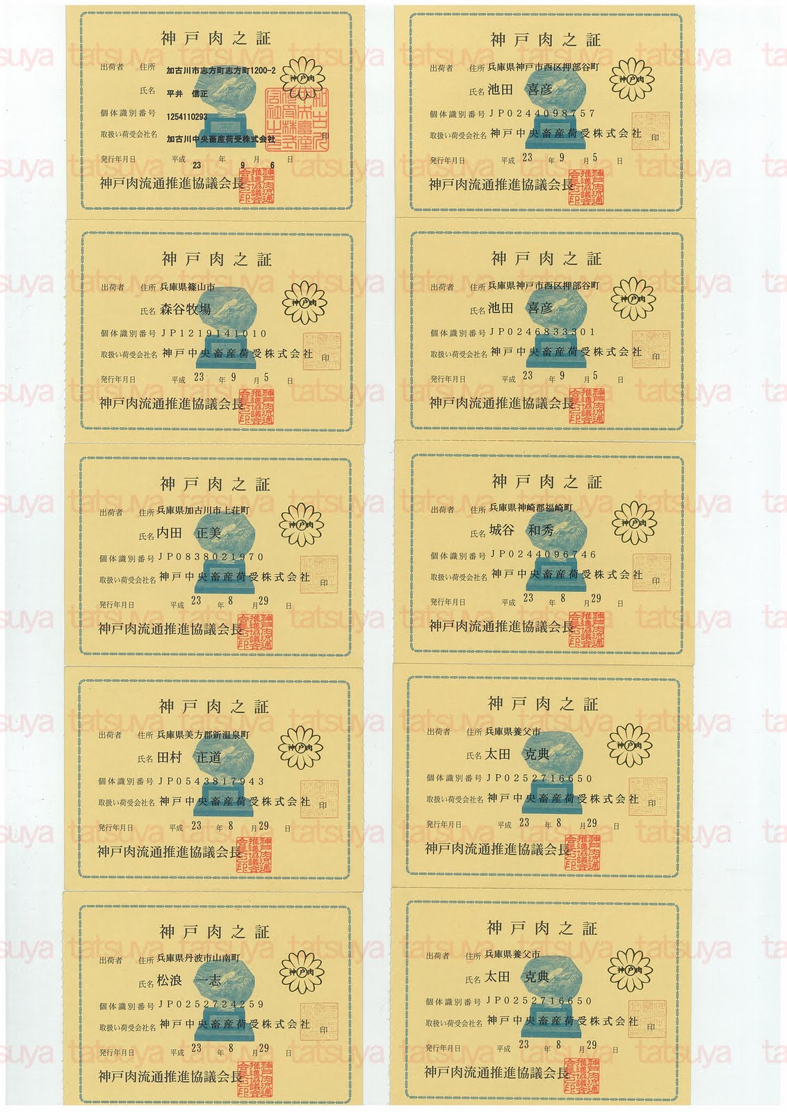 [LOT-11091701-%25231.jpg]