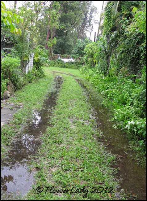 06-24-driveway