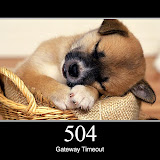 504.jpg