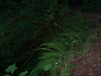 columbia_river_gorge