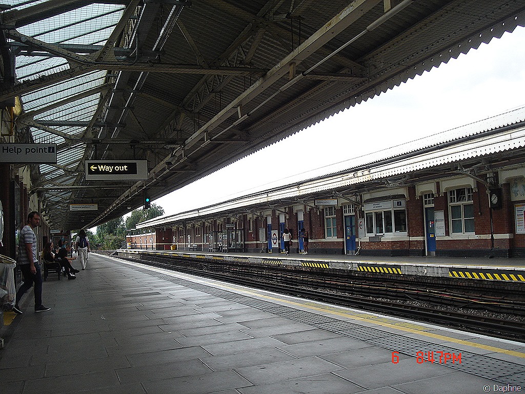 [DSC08029%255B5%255D.jpg]