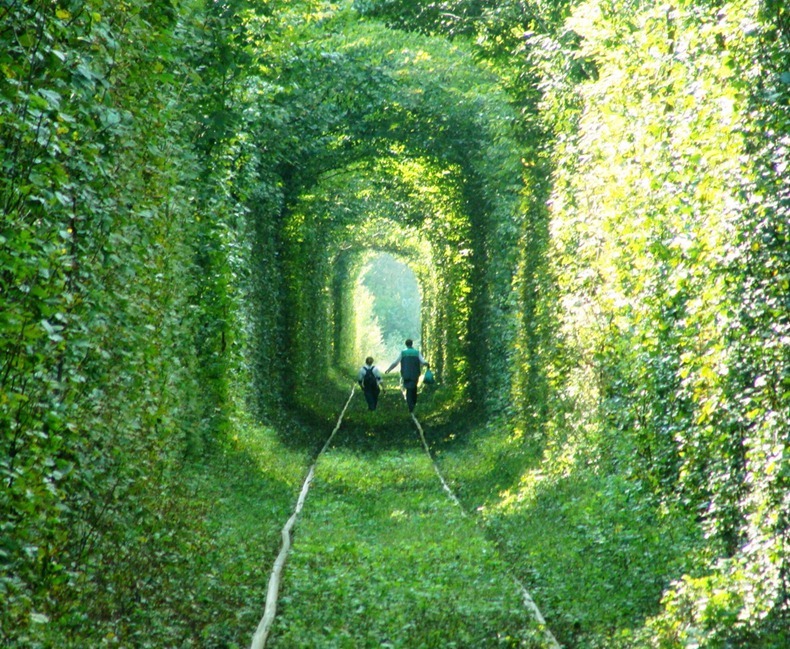 نفق جميل من الاشجار تعبر منه القطارات باوكرانيا Tunnel-of-love-4%25255B3%25255D