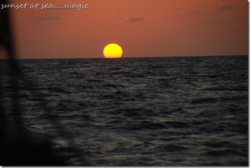 DSC_0842 DSC_0842
