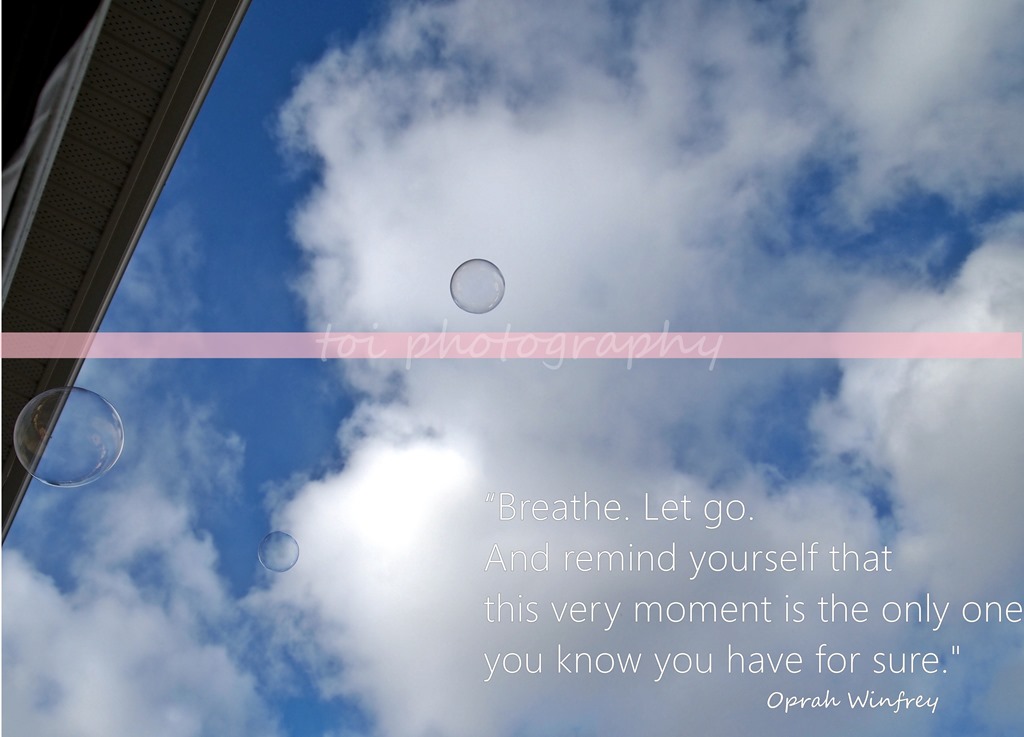 [bubble-in-the-sky-quote4.jpg]