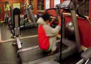 [tumblr_lhvr4jNpBH1qe92k5o1_400%255B11%255D.gif]