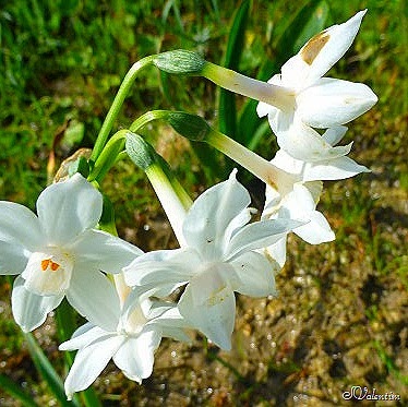 [P1080022%255B9%255D.jpg]