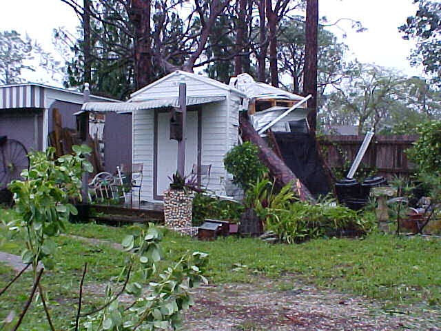 [after-wilma%255B5%255D.jpg]
