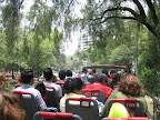 My fellow Turibus passengers