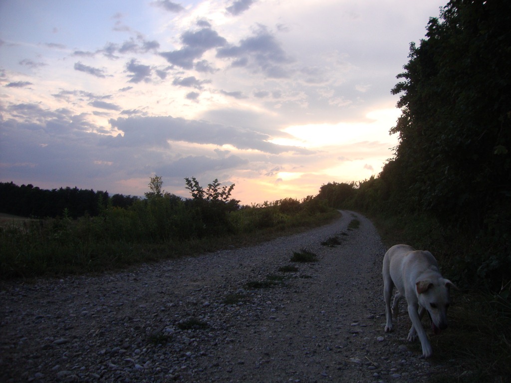 [DSC04189%255B3%255D.jpg]