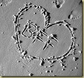 heart heart