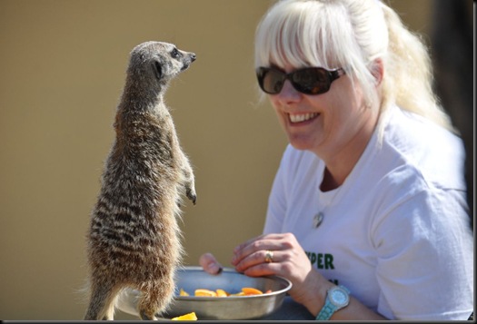 Sally Green with Meerkat (resized) 0102