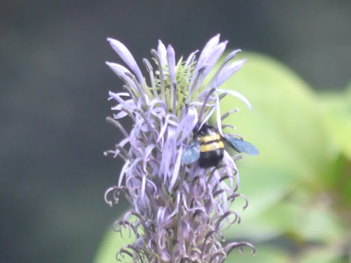 P1010604
