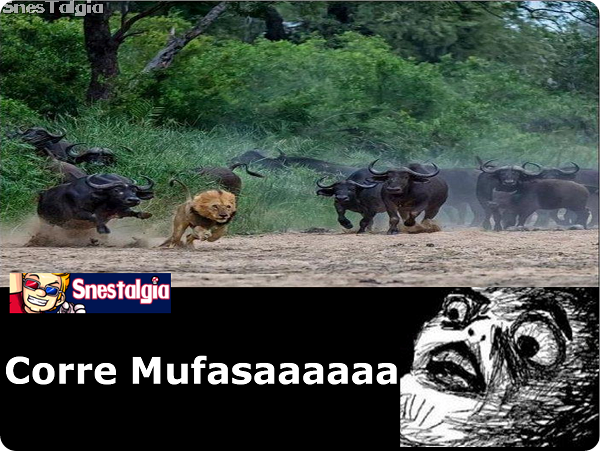 Correeee mufasa-rei-leao