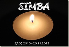 IMG_0155 IMG_0155