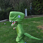 DSC_0082.jpg