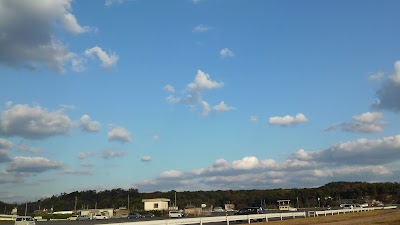 2014-11-15 07.54.36.jpg