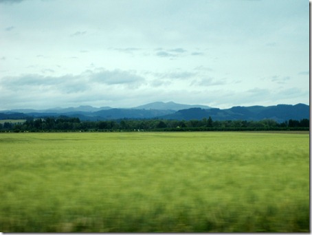 IMG_3797 IMG_3797