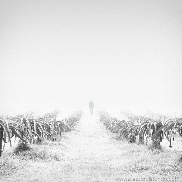 fotos-minimalistas-preto-branca-minimalist-black-white-photography-hossein-zare-desbaratinando (4) fotos-minimalistas-preto-branca-minimalist-black-white-photography-hossein-zare-desbaratinando (4)