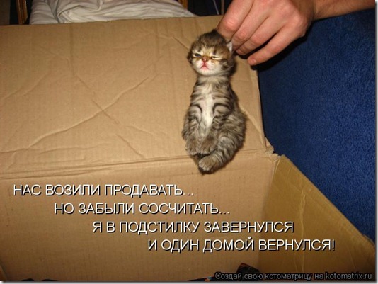1150962 1150962