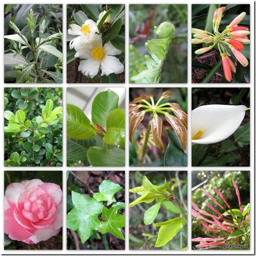 Rectory Garden - July 2011