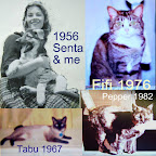 Delia with Senta in '56. Tabu joined Delia following her husband's departure to serve in Viet Nam. Fifi came to Delia in '76. Pepper was a barn cat that Delia had spayed and then took into her care. Delia with Senta in '56. Tabu joined Delia following her husband's departure to serve in Viet Nam. Fifi came to Delia in '76. Pepper was a barn cat that Delia had spayed and then took into her care.