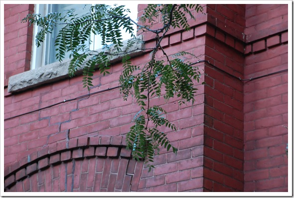 Brick and Rowan