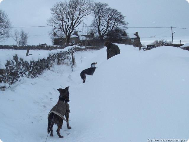 drifts... drifts...