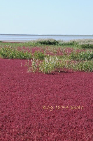 [SYG_4292%255B3%255D.jpg]