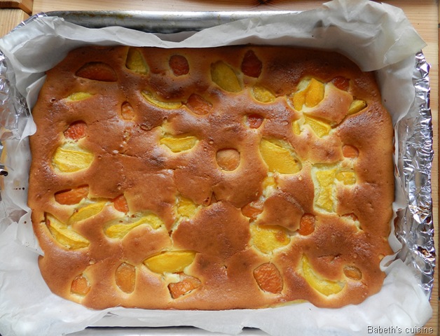 [gateau%2520abricots%255B6%255D.jpg]