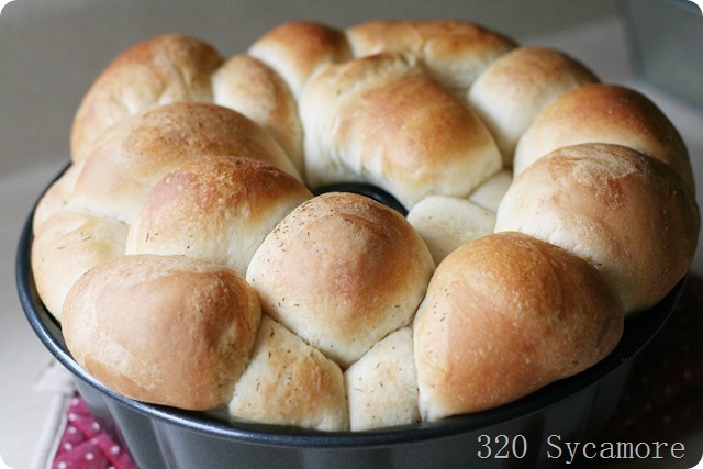 dill rolls